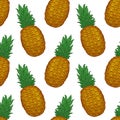 Hand drawn colorful seamless pattern from pineapple. Royalty Free Stock Photo