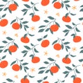 Hand drawn colorful seamless pattern with Tangerines.