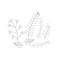 Hand-drawn coloring book . Silhouettes of simple twigs, leaves and herbs, herbarium. Vector composition