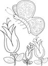 Hand drawn coloring page of a beautiful butterfly Royalty Free Stock Photo