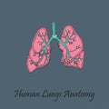 Hand Drawn Coloured Human Lungs
