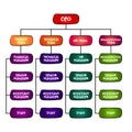 Hand drawn Company Hierarchical Structure. Popular organizational chart type. Employees are grouped with every employee having one