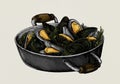 Hand drawn cooked mussels illustration
