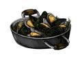 Hand drawn cooked mussels illustration Royalty Free Stock Photo