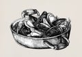 Hand drawn cooked mussels style vintage Royalty Free Stock Photo