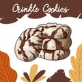 Hand drawn cookie in color on white background. Crinkle cookies. Delicious food design. Vector illustration