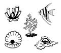 Hand drawn corals, seashell, pearl isolated on white . Silhouette icons underwater life elements. Set of line vector Royalty Free Stock Photo