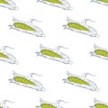 Hand Drawn Corn Seamless Pattern Background. Vector