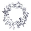 Hand drawn cotton and eucaliptus wreath