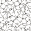 Cotton plant. Vector  seamless pattern Royalty Free Stock Photo
