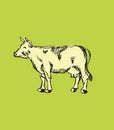 Hand drawn cow Royalty Free Stock Photo