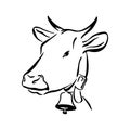 Hand drawn cow sketch illustration. Vector black ink drawing farm animal, outline silhouette isolated on white background Royalty Free Stock Photo