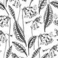 Hand-drawn cowslip and oxlip background design. Vintage woodland flowers sketches. Seamless spring pattern. Forest plant and wild Royalty Free Stock Photo