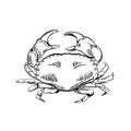 Hand drawn crab illustration in engraving style Royalty Free Stock Photo