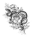 Hand Drawn Monochrome Creeping Python and Rose Flowers Royalty Free Stock Photo