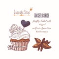 Hand drawn cupcake with stars of anise, licorice candy and doodle buttercream for pastry shop menu