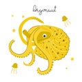 Hand drawn cute Argonaut, ocean animal