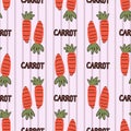 Hand drawn cute carrot on stripe seamless pattern. Vector farm fresh produce background. Farmers market vegetable. Typography text