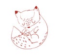 Hand Drawn Cute Cartoon Fox. Vector Illustration Royalty Free Stock Photo