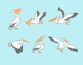 Hand drawn cute cartoon pelicans in different poses. Vector illustration.