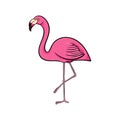Hand drawn cute cartoon pink flamingo stay on one leg, colorful sketch style vector illustration isolated on white background. Royalty Free Stock Photo