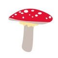 Hand drawn cute contemporary illustration amanita mushroom. Flat vector fly-agaric element in simple colored doodle