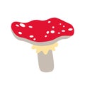 Hand drawn cute contemporary illustration amanita mushroom. Flat vector fly-agaric element in simple colored doodle