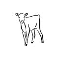 Hand drawn cute cow calf sketch illustration. Vector black ink drawing farm animal, outline silhouette isolated on white Royalty Free Stock Photo