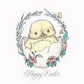 Hand Drawn Cute Easter Chick Vector Illustration. Little Chicken in an Egg with Willow Twigs and Flowers and Butterfly Royalty Free Stock Photo