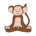 Brown monkey sitting and meditating in lotus pose with eyes closed Royalty Free Stock Photo