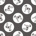 Hand drawn cute Greyhound dog breed in polka dot seamless vector pattern. Purebread pedigree puppy domestic on dotty