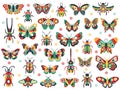 Hand drawn cute insects. Doodle flying butterfly and beetle, colorful spring insects. Drawing butterflies and bugs