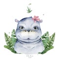 Hand drawn cute isolated tropical summer watercolor hippo animals. Two hippopotamus family cartoon animal illustrations, jungle Royalty Free Stock Photo