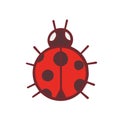 Hand drawn cute ladybug artwork, cartoon red bug with black spots Royalty Free Stock Photo