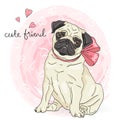 Hand drawn cute, little cartoon dog pug.