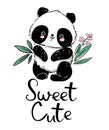 Hand drawn Cute panda and bamboo. Handwritten - Sweet Cute. Vector illustration.