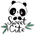 Hand drawn Cute panda and bamboo. Handwritten - Sweet Cute. Vector illustration.