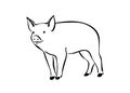 Hand drawn cute pig sketch illustration. Vector black ink drawing farm animal, outline silhouette isolated on white background Royalty Free Stock Photo