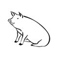 Hand drawn cute pig sketch illustration. Vector black ink drawing farm animal, outline sitting pet silhouette isolated on white Royalty Free Stock Photo