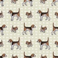 Hand drawn cute puppy and foxhound hunting dog seamless vector pattern. Purebred pedigree domestic dog on paw background. Dog