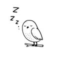 Hand drawn cute sleep owl