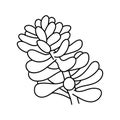 Hand drawn cute succulent in style doodle. Vector illustration, isolated elements on a white background.