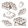 Hand drawn cute waffles isolated on white. vector sketch of belgium wafers in vintage engraved style. sweet pastry ink Royalty Free Stock Photo