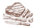 Hand drawn cuts of beef. Grilled meat sketch. Steak house, grill restaurant menu. Food concept, illustration