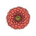 Hand drawn dahlia flower. floral design element Royalty Free Stock Photo
