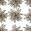 Hand Drawn Dahlia Flower Pattern Royalty Free Stock Photo