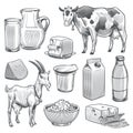 Hand drawn dairy products. Farm cow and goat milk healthy fresh product. Butter and cottage cheese, yogurt vintage