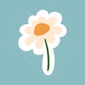 Hand drawn daisy flower vector sticker. Isolated chamomile icon on white