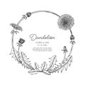 Hand drawn dandelion floral greeting card background