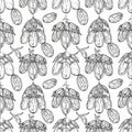 Hand Drawn Dates Fruit Seamless Pattern Royalty Free Stock Photo